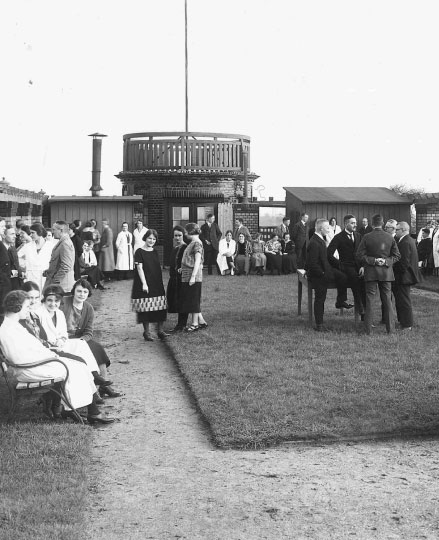 Garden on the roof of the central administration building Garden on the roof of the central administration building